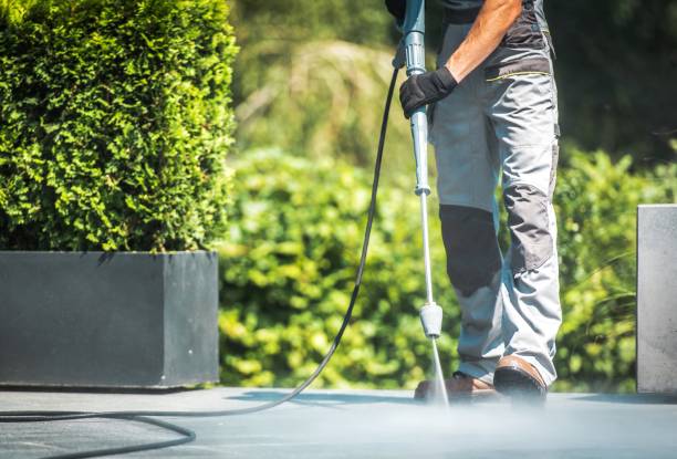 Best Fence Cleaning and Maintenance in Atlantic, IA